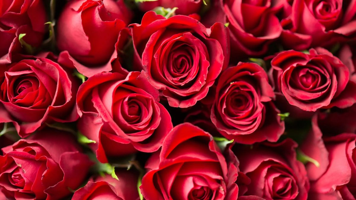 20 Perfect Valentine Gifts