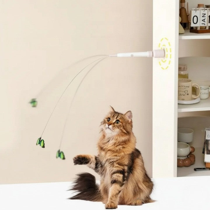 Kitten playing with the stimulating prey simulation toy