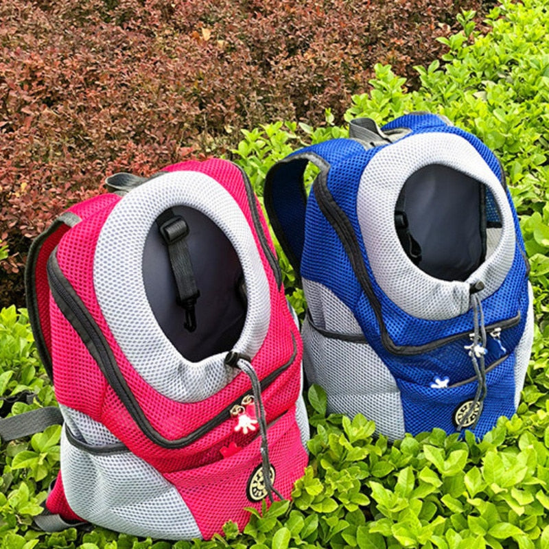Woman hiking in the mountains with a small white dog in a front-facing carrier.