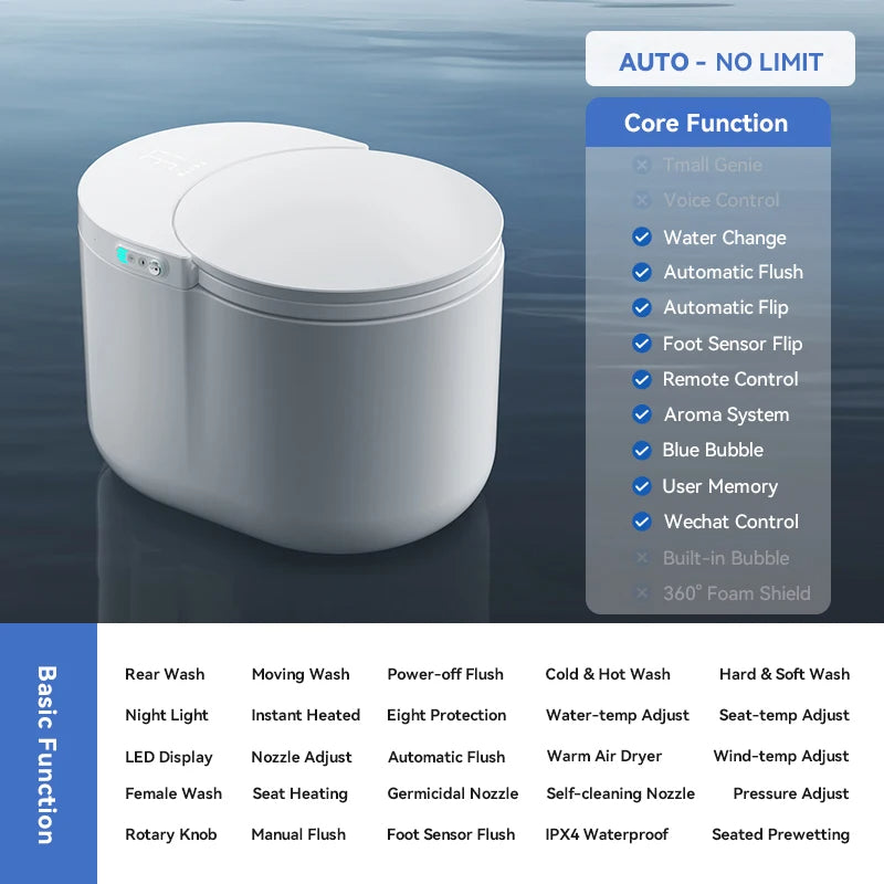 Bidet Toilet Usage