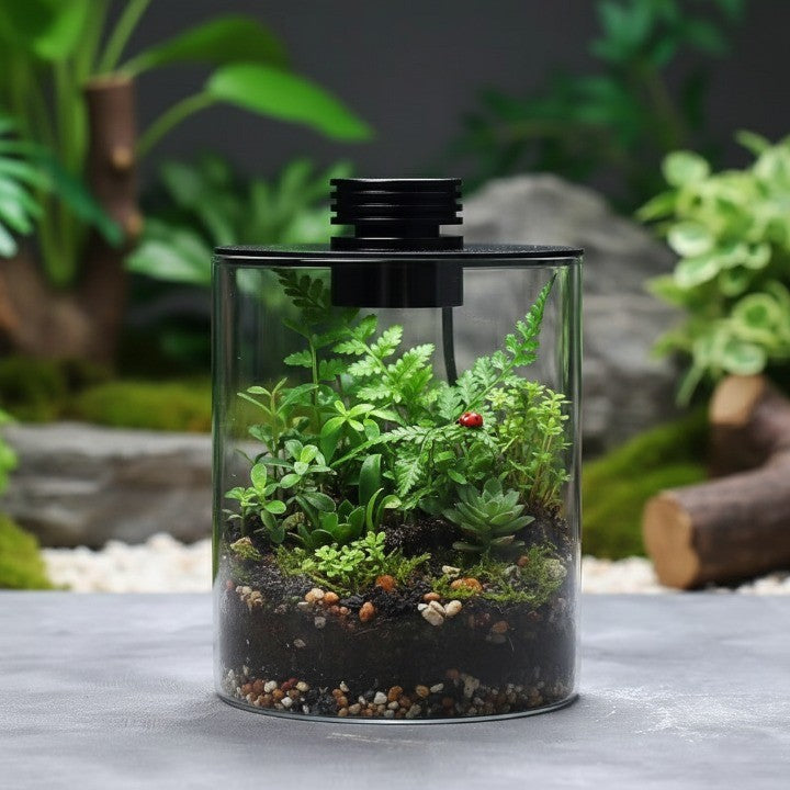 DIY terrarium setup inside the glass vase for a creative lifestyle present