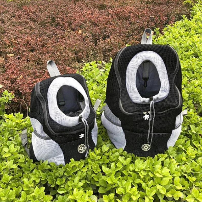 A small dog comfortably sitting in the pet carrier backpack worn on someone's back.