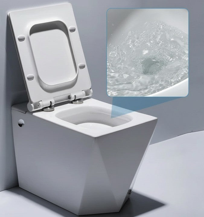 Top-down view showing the unique shape of the toilet