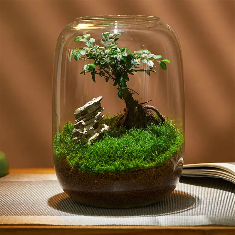 The elegant shape and size of the creative glass vase gift