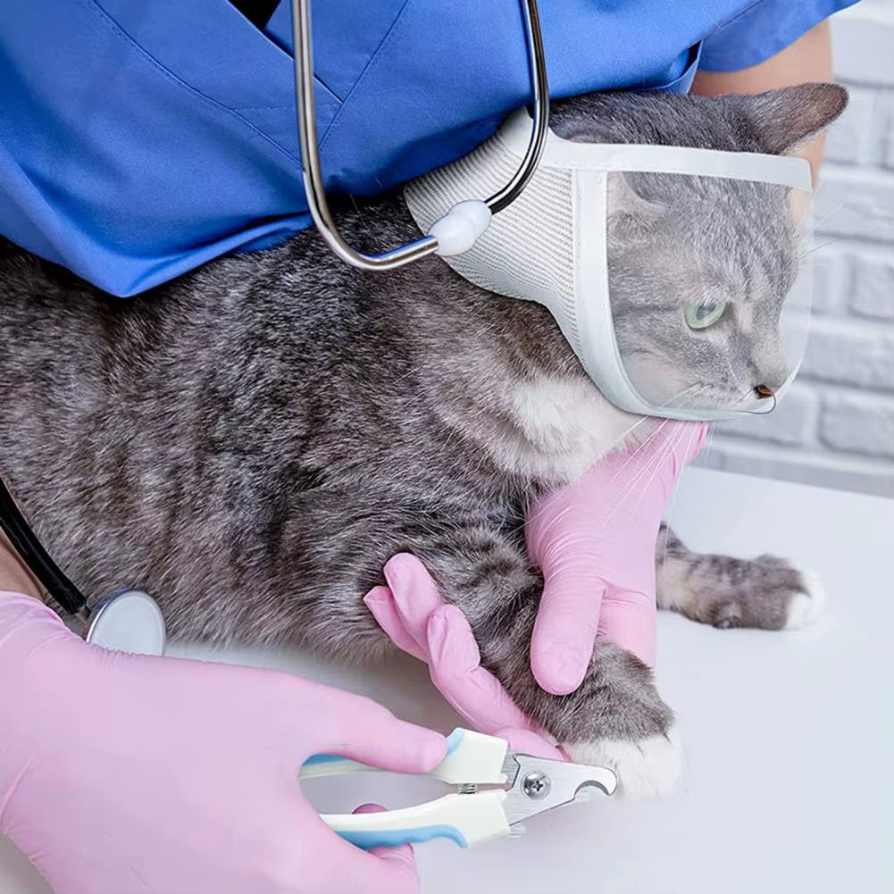 Anti-bite Breathable Small Pet Safety Mask