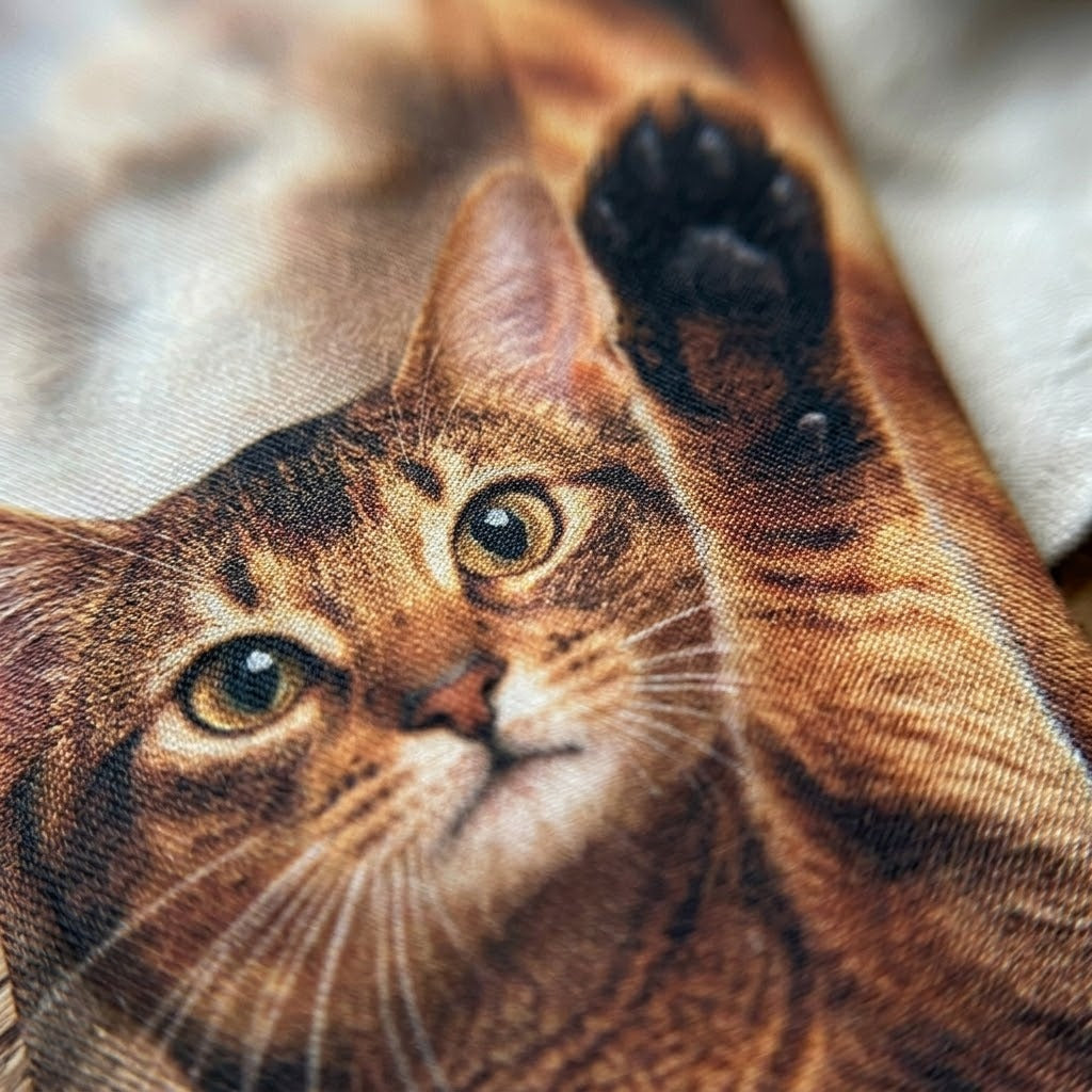 A side profile of a cat wearing the elegant polyester tie