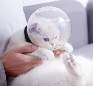 Cat Grooming Anti-Bite Head Cover
