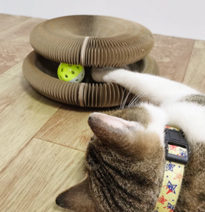 Cat Magic Foldable Scratch Toy Board