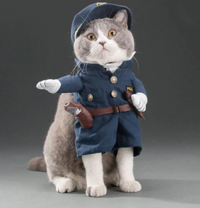 Cat Police Costume