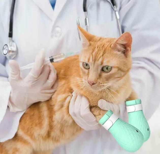 Cat Paw Guard Anti-Scratch