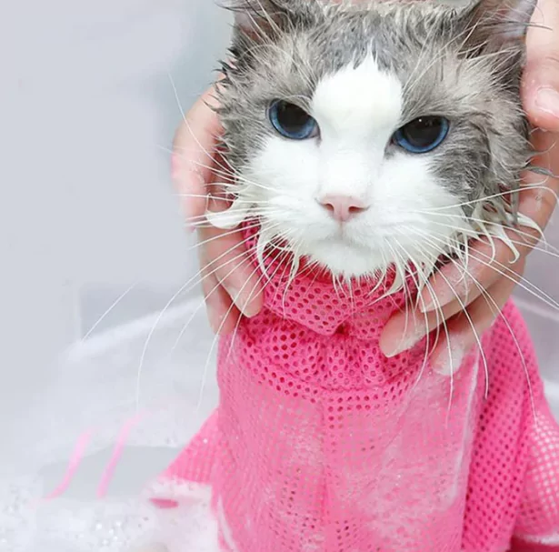 Cat Grooming Scratch-Resilient Bag Mesh