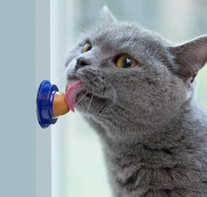 Cat Snacks Licking Tool