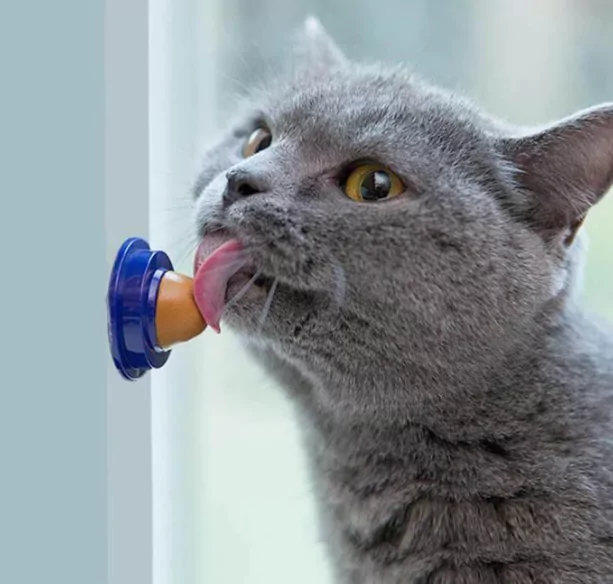 Cat Treats Licker Tool