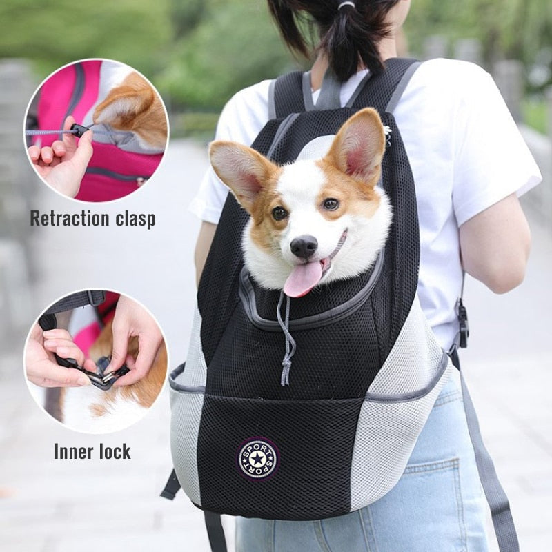 Person wearing a gray pet carrier backpack with a small dog looking out.