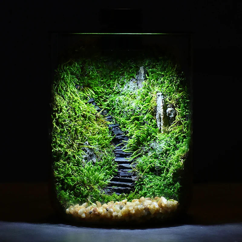 Close-up of the elegant aluminum lid on the Mini Forest Maker Terrarium