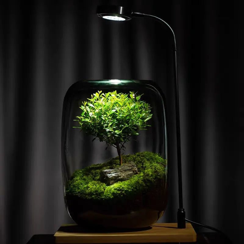 Creating a tiny succulent world inside the creative glass vase