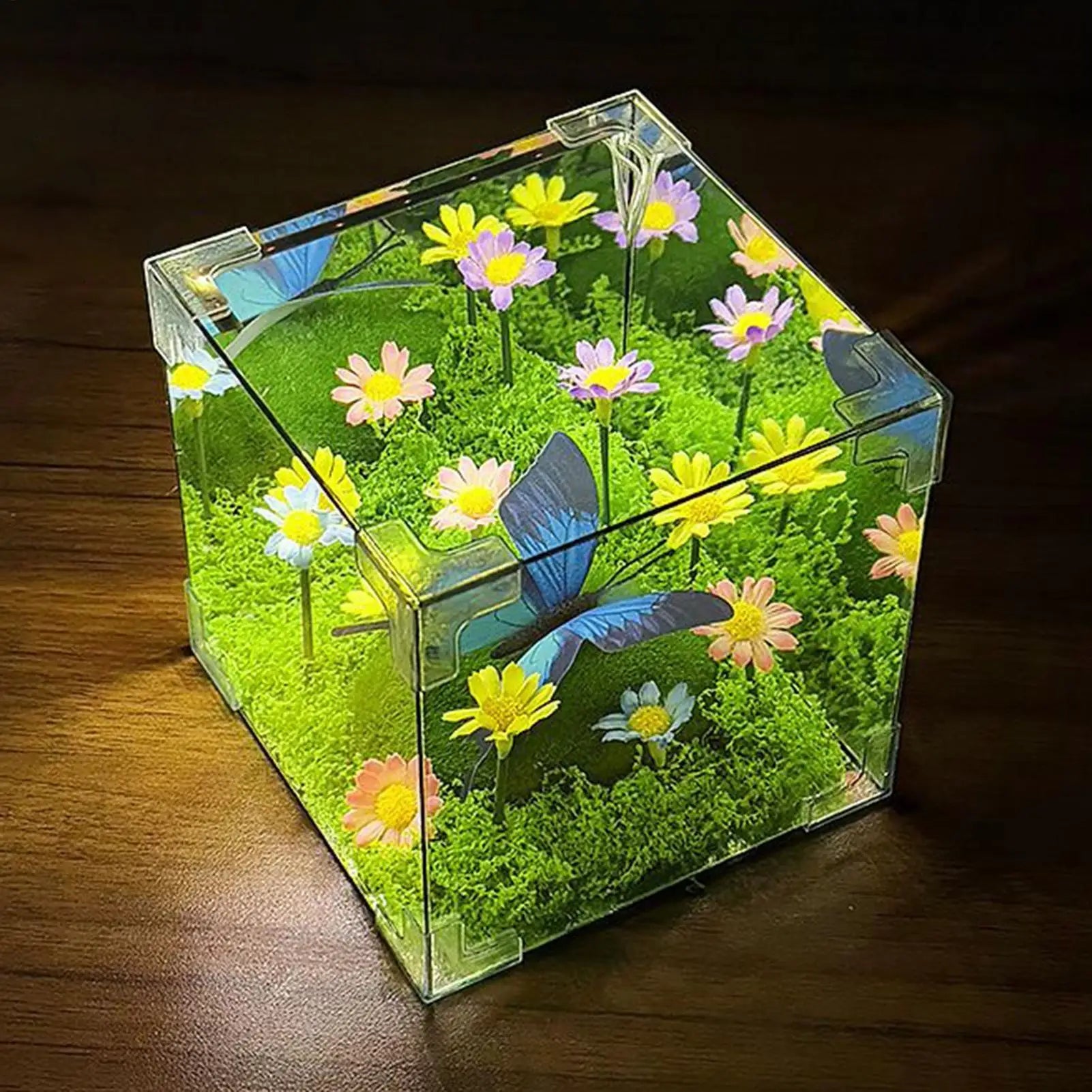Vibrant LED Butterfly Garden Cube Night Light Decor glowing on a desk