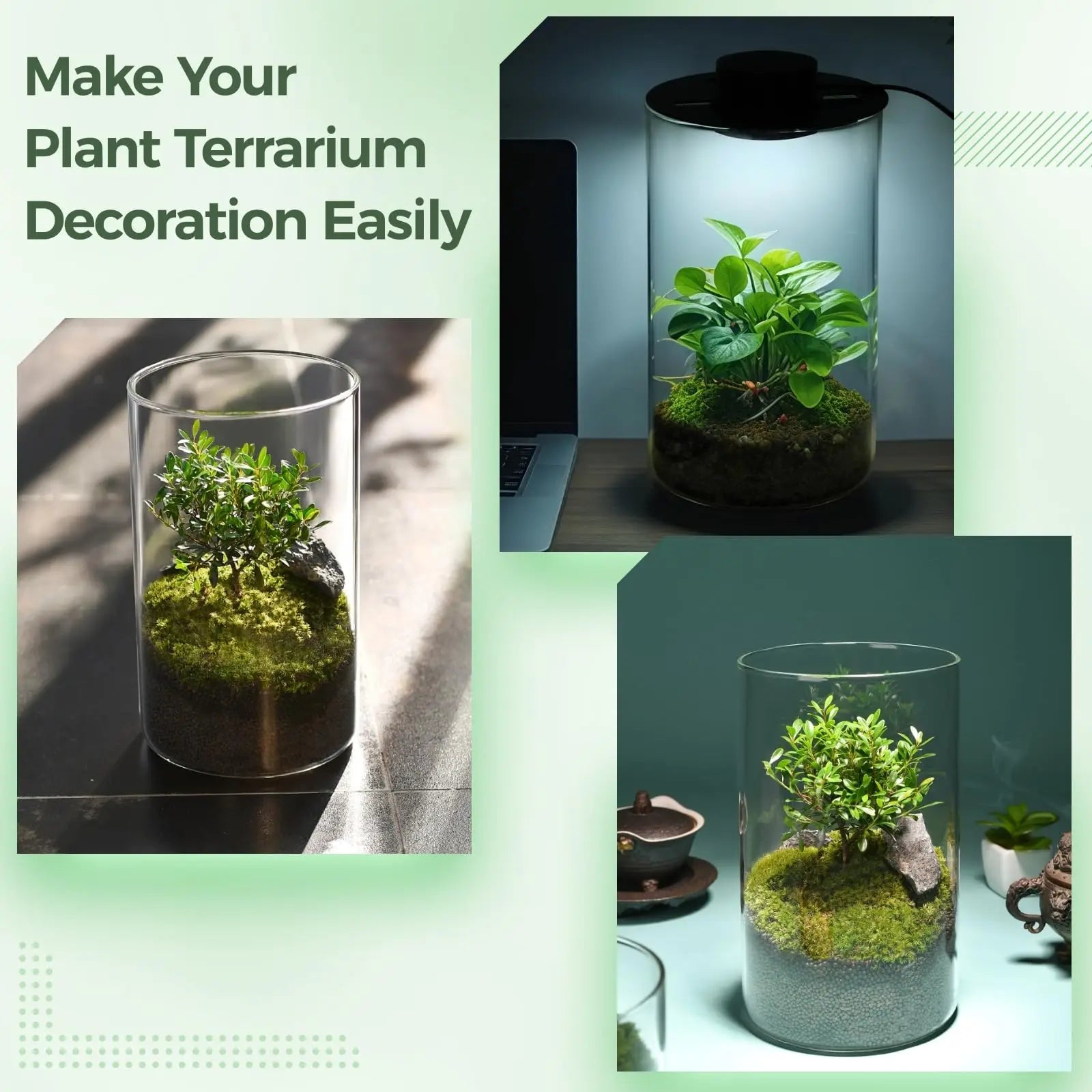 Three different sizes of the Mini Forest Maker terrarium available