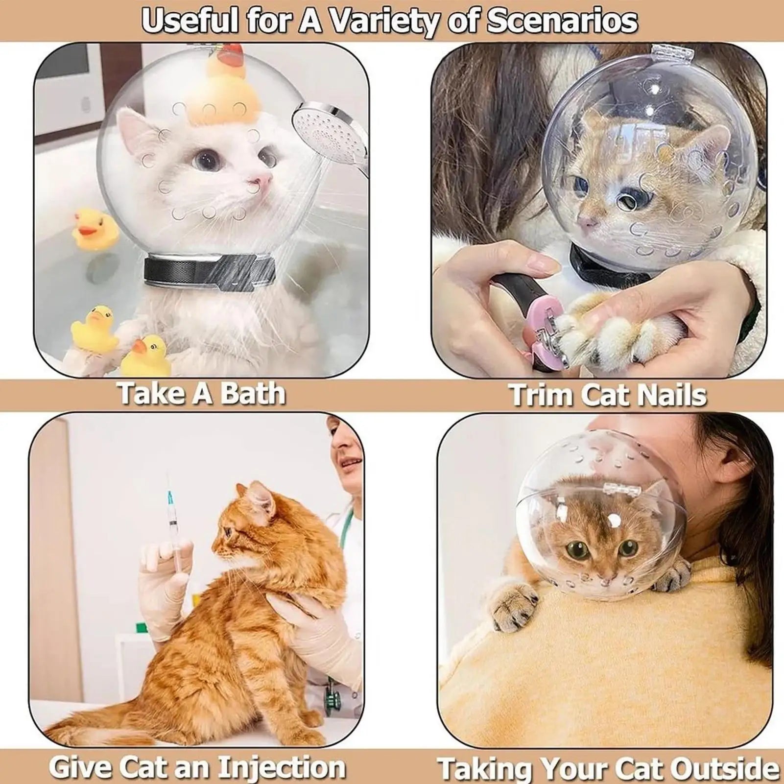 A cat looking calm and comfortable inside the transparent groom helmet