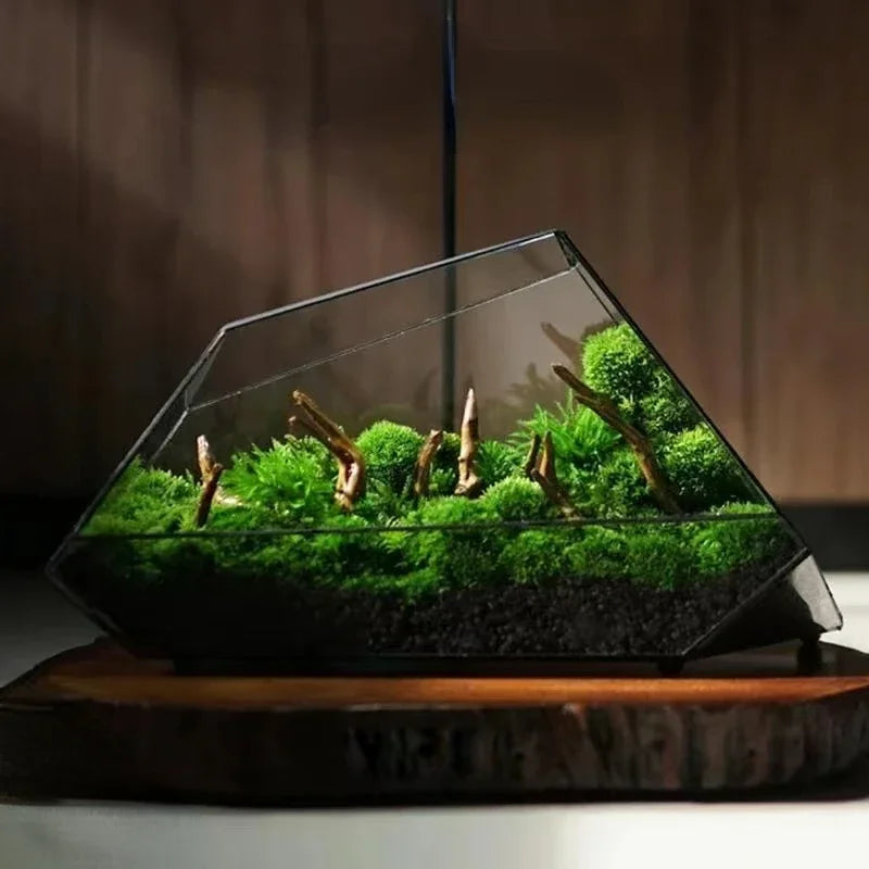 Terrarium with Succulents