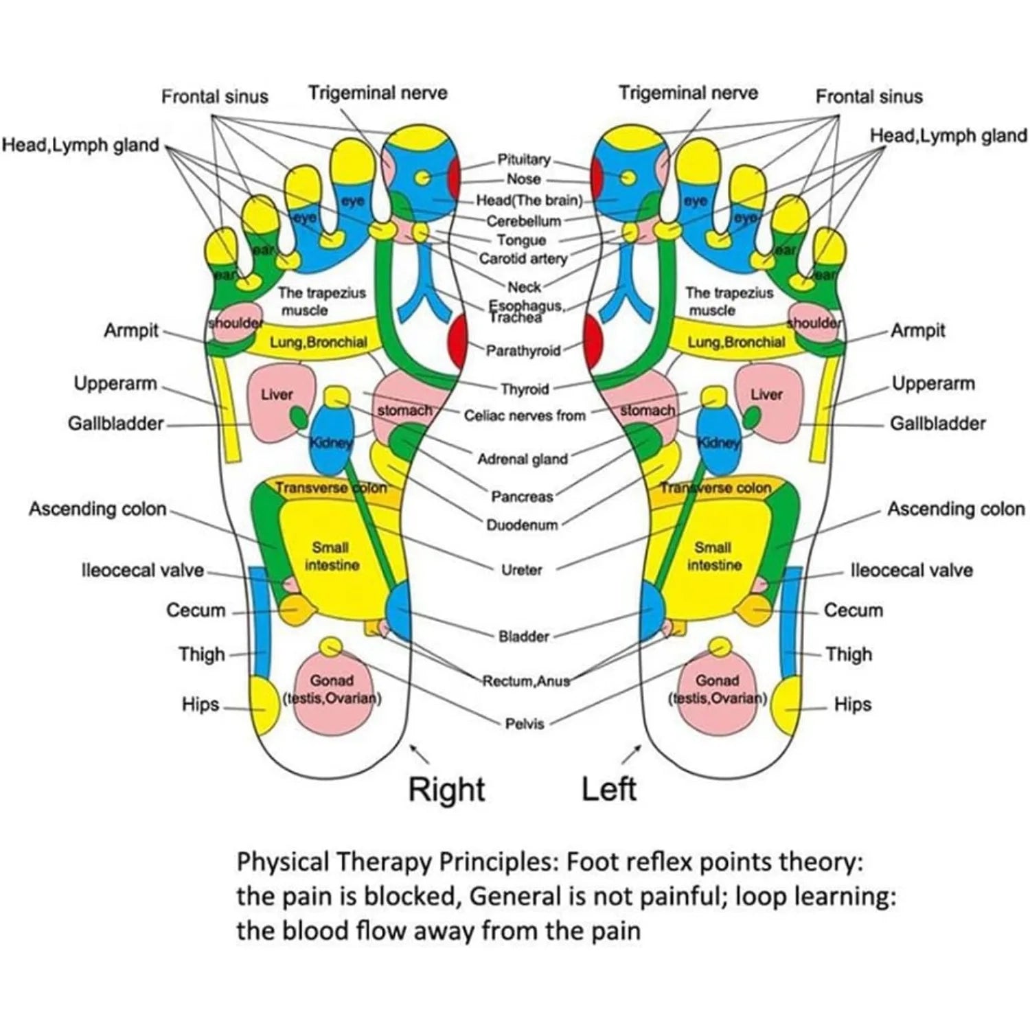 A person enjoying the benefits of the reflexology stress relief mat